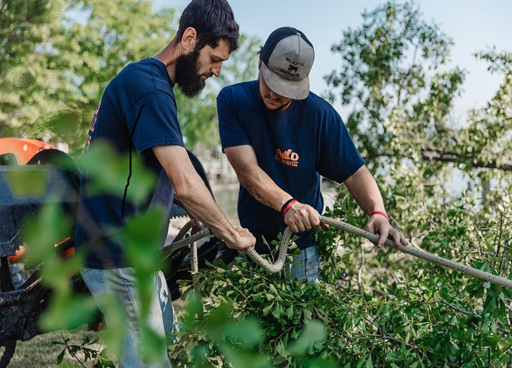 OSHA Standards for Tree Services